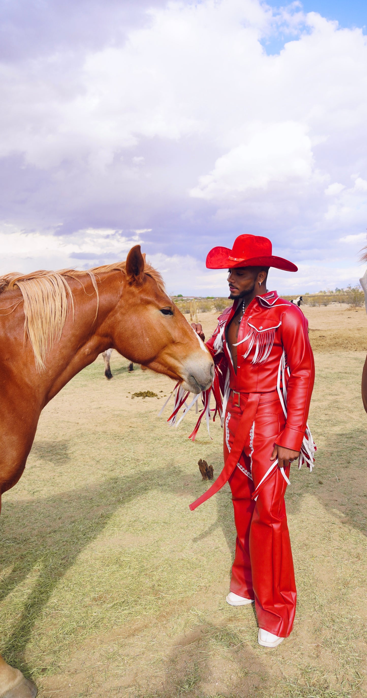 Cowboy Collection 1.0